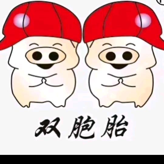 双胞胎“公司+农户”云南服务部