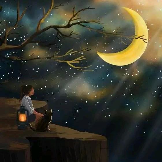 我~想♥🈶個🏠家