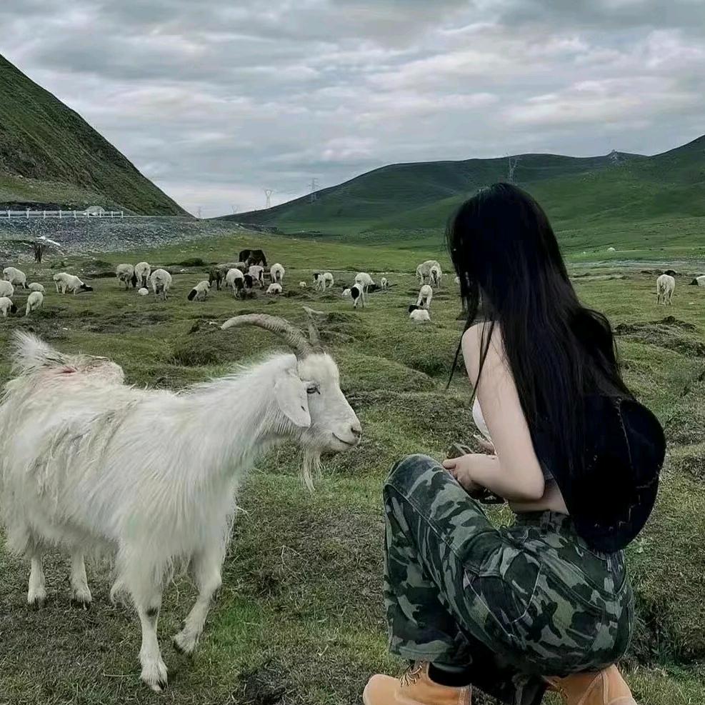 在海边捡束花🌻