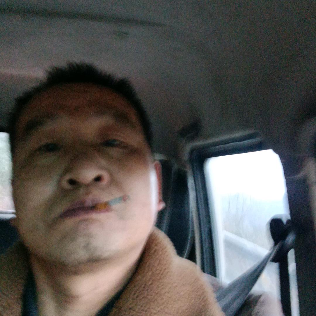 自由飞翔