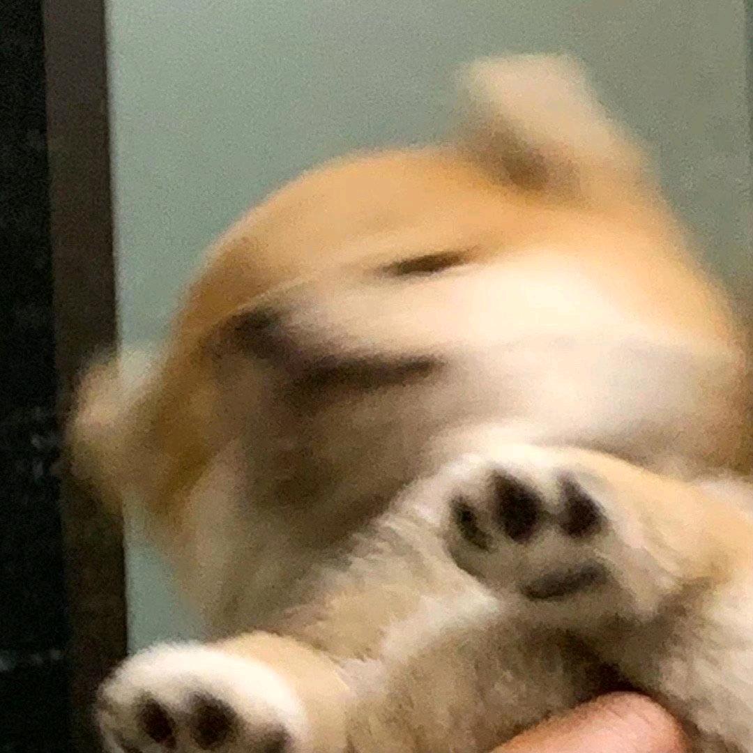 臭豆腐