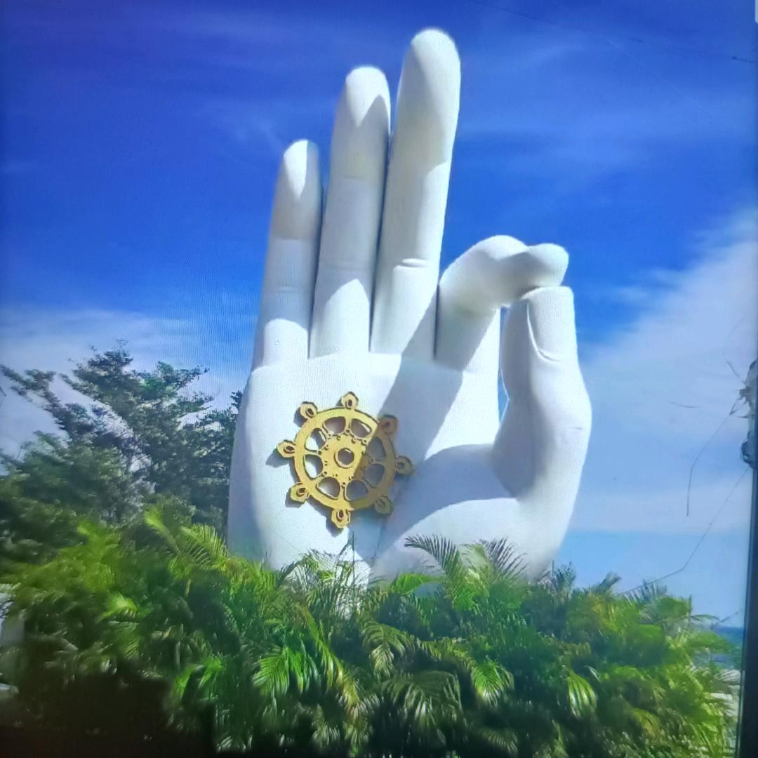 李宝👶🏻宝👶🏻