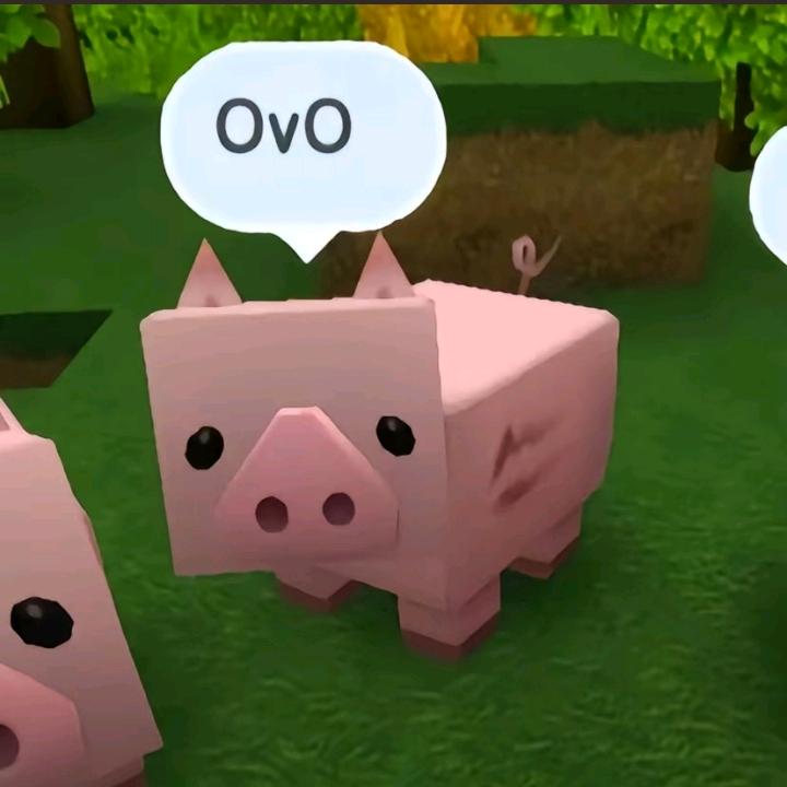 嘻呵嘻呵哈呵哈