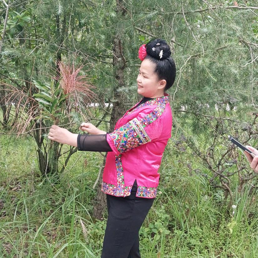 美丽天空