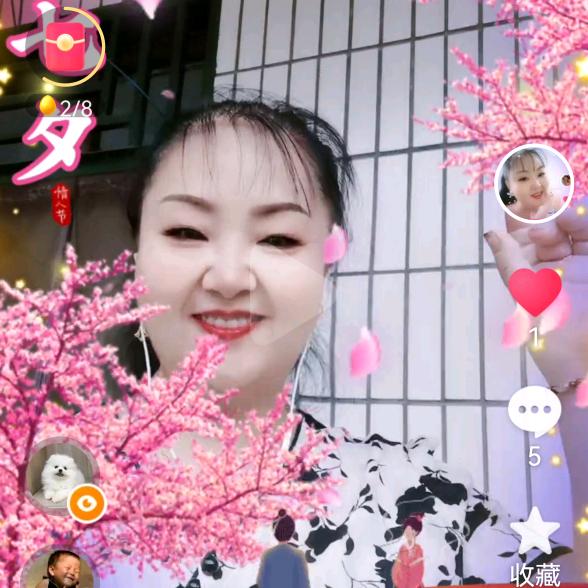 阿莲姐