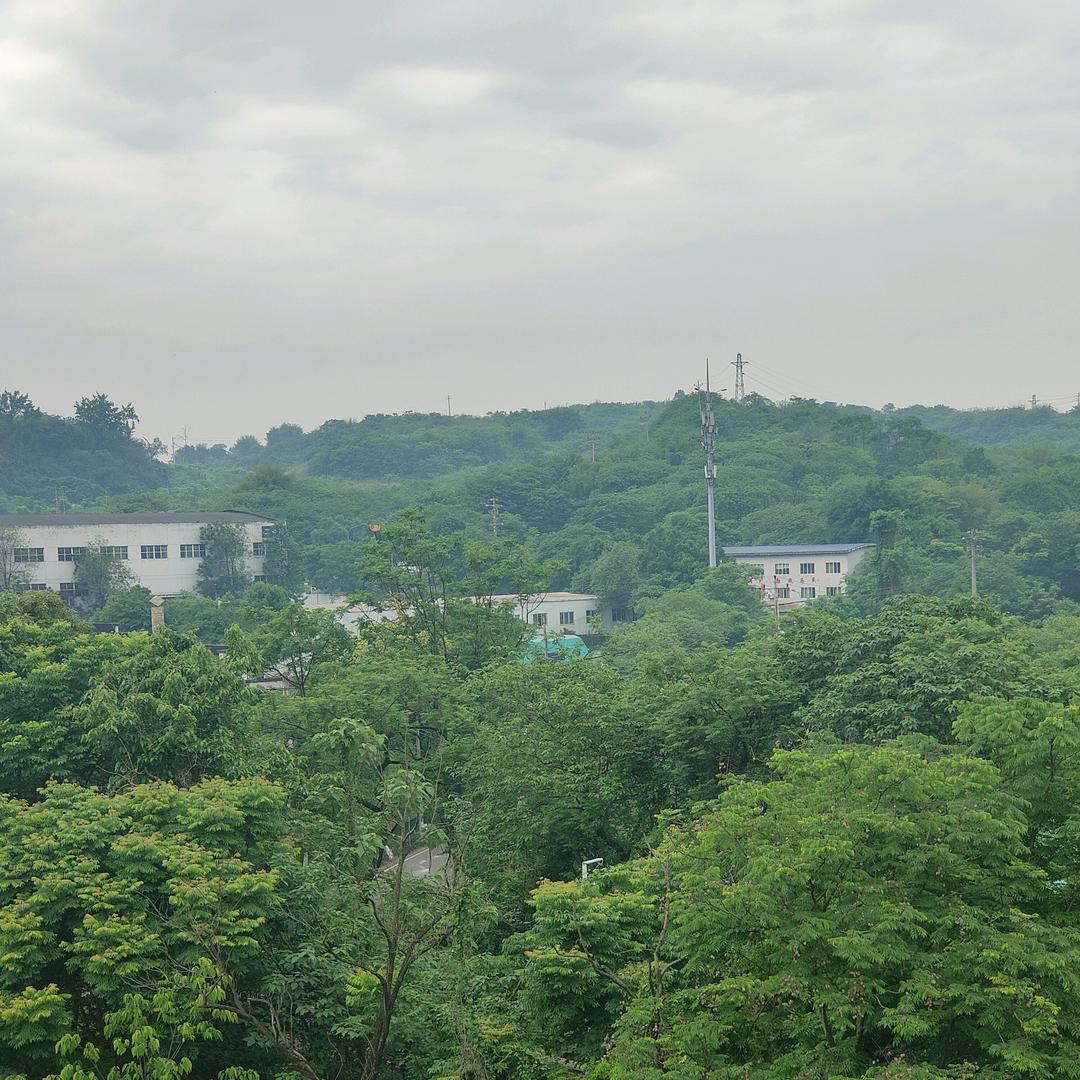 曾经迷离