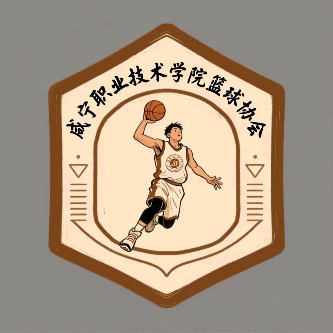 咸宁职院篮球协会
