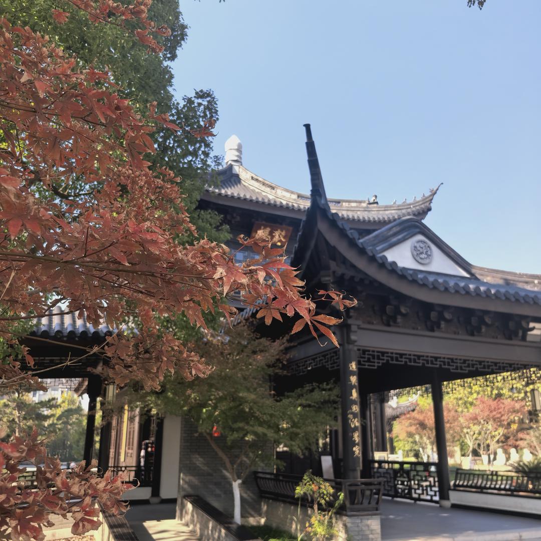 冬天里的一把火