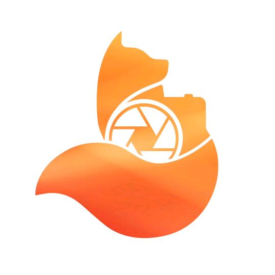 東狐来了工作室