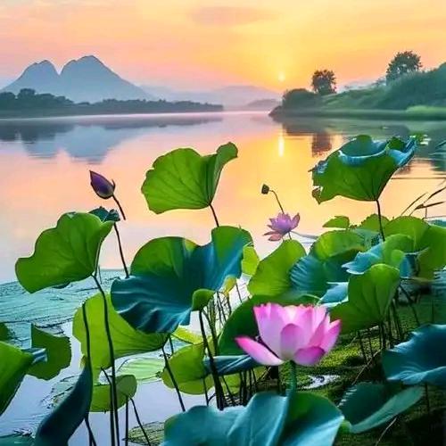 风景