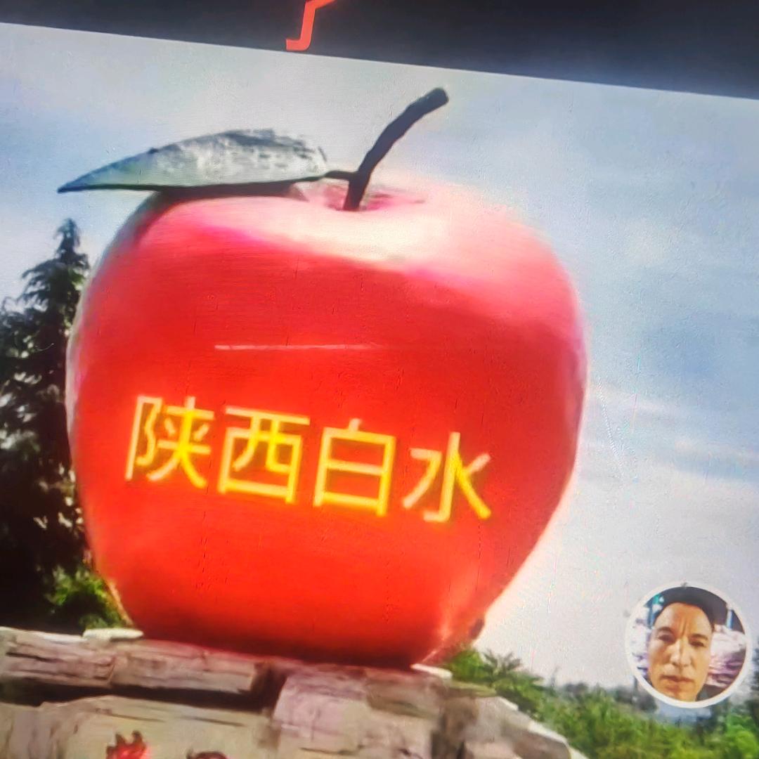 柿柿如意