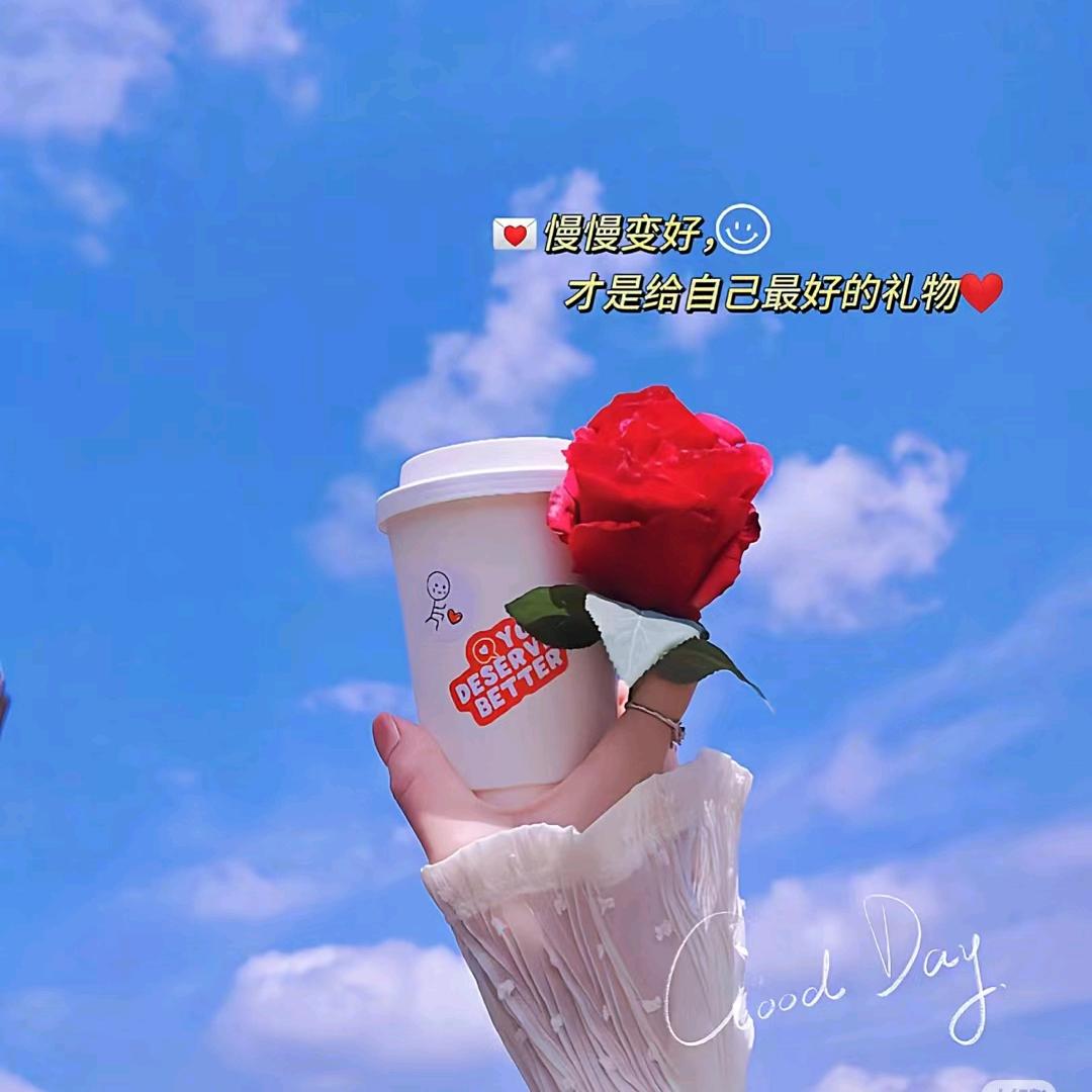 乘风破浪的小姐姐💅