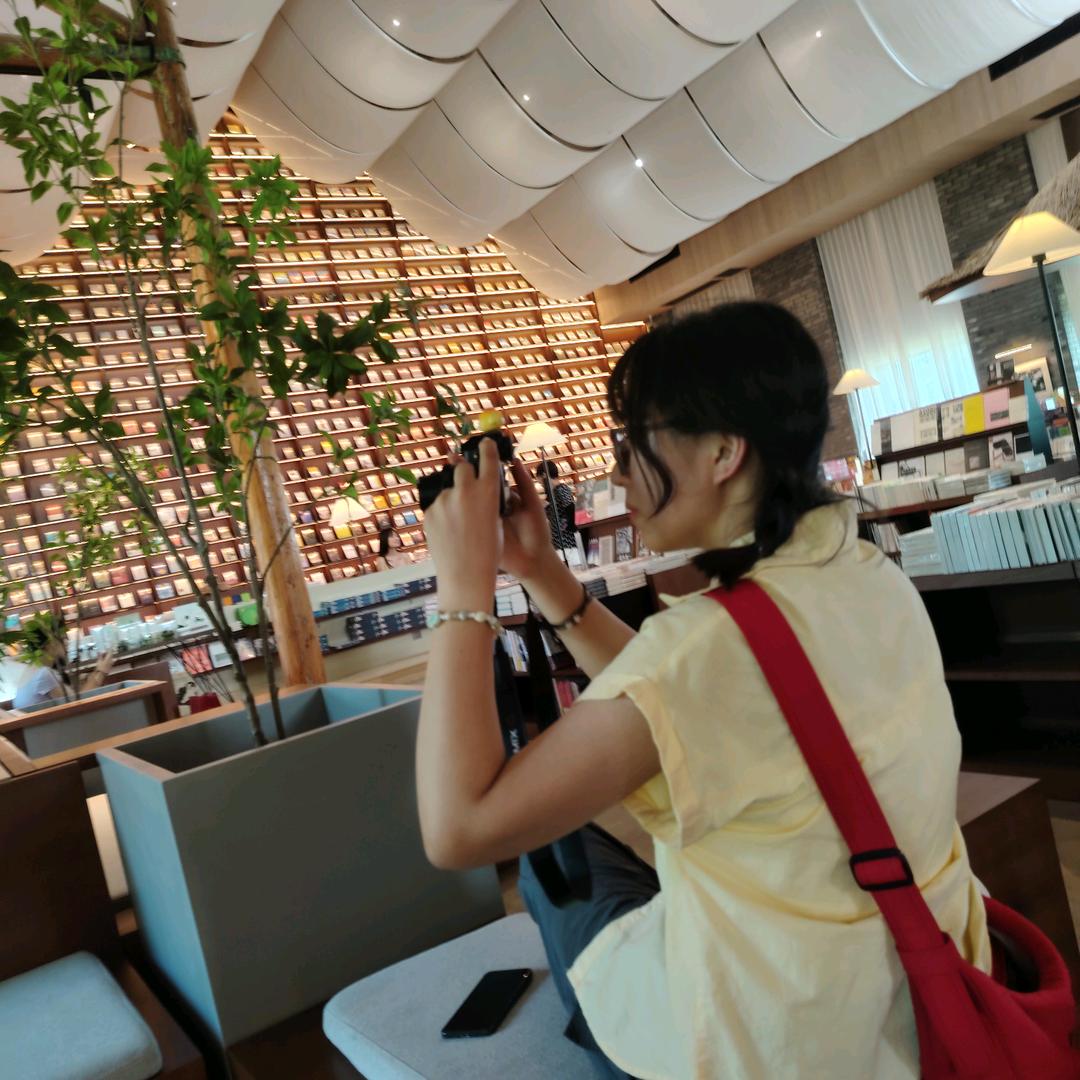 呆迪