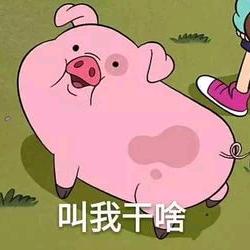 社会百事通