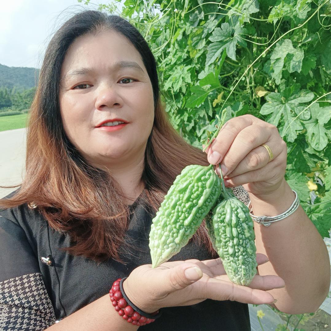 信宜妙姐好物（雾嶺牛哥团队）