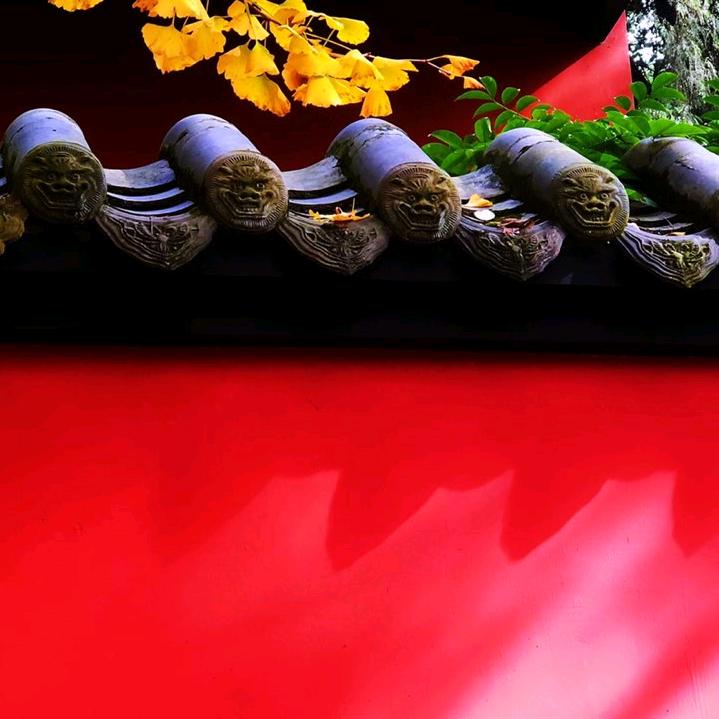 李辛