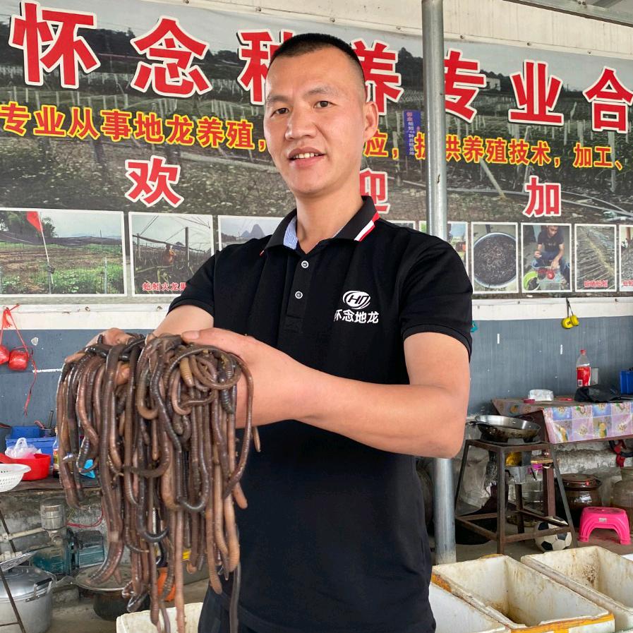 怀念蚯蚓养殖总部