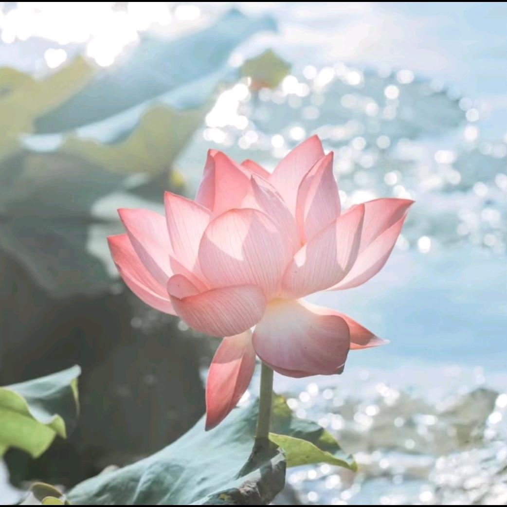 你好