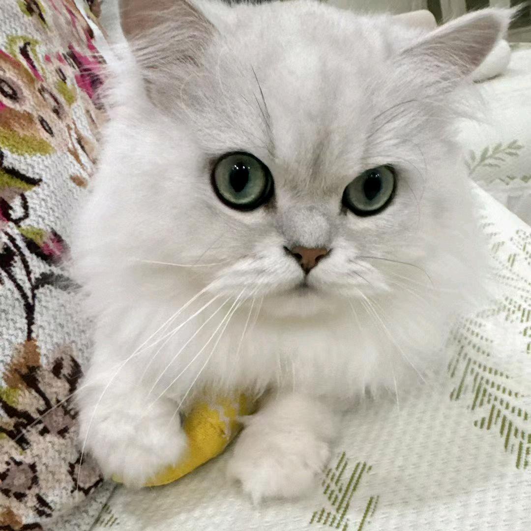 昆明小茗房产