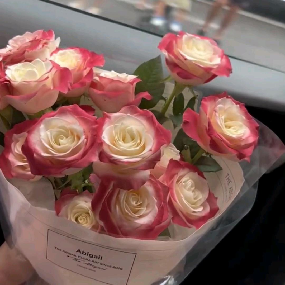 郴州现代吴甜大白