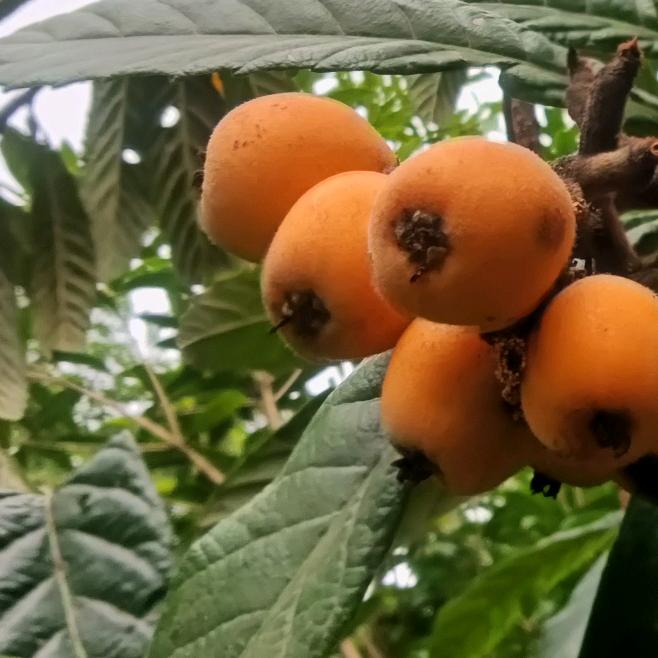 人生，努力，细心！