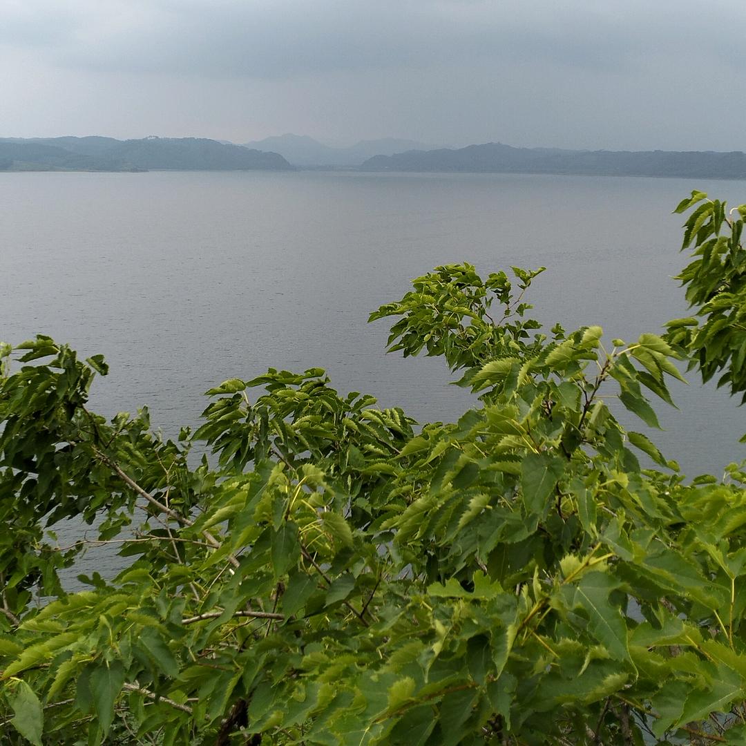 臭臭妈健身分享