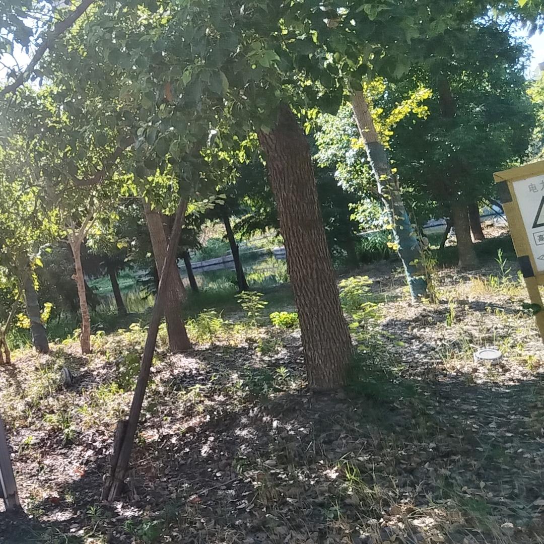 人生何处不相逢丶