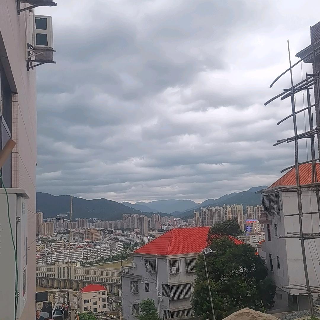 慧欣