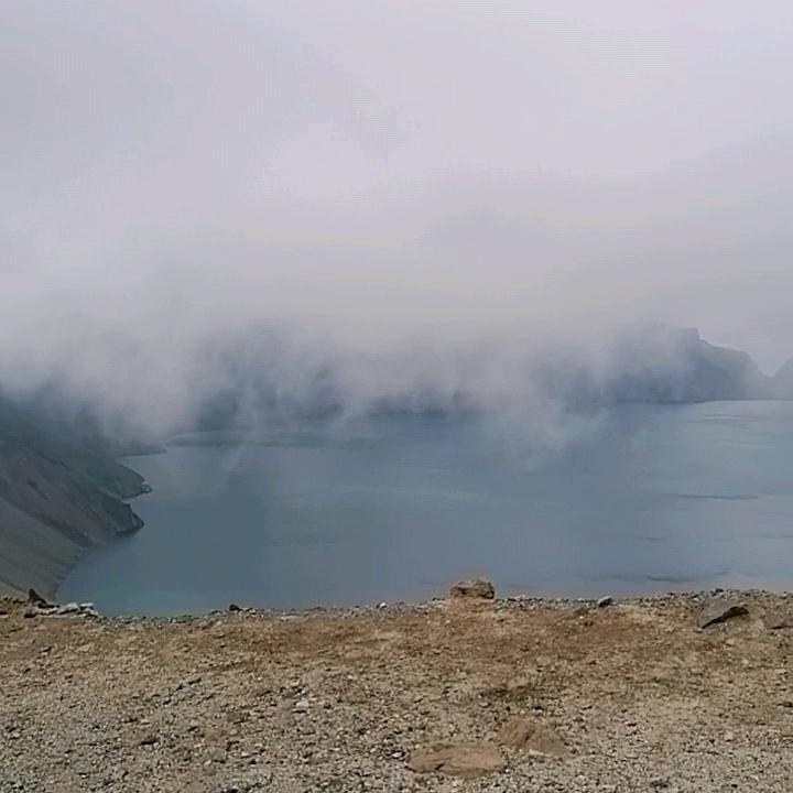 真心换真心