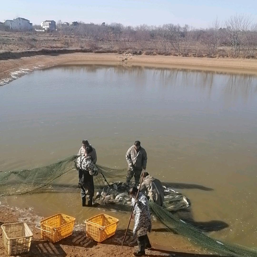 喜欢拼搏