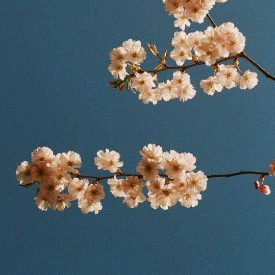 中华古拳法