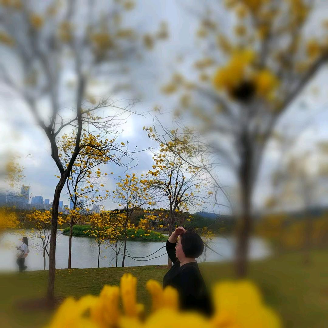 周周姐的日常生活