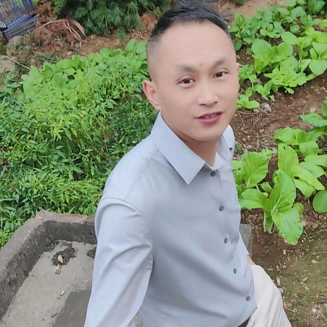 高哥