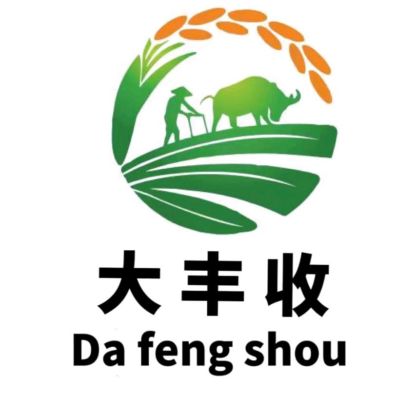 大丰收郭婷