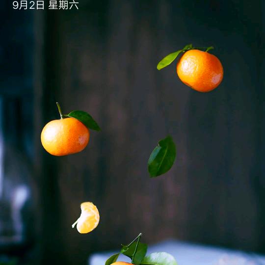四叶