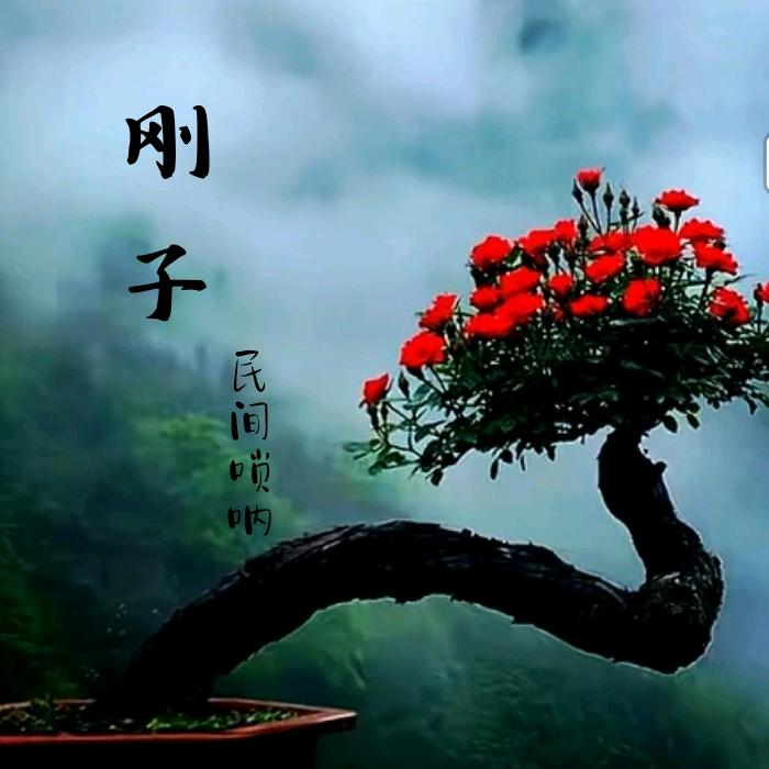 刚子（民间唢呐）