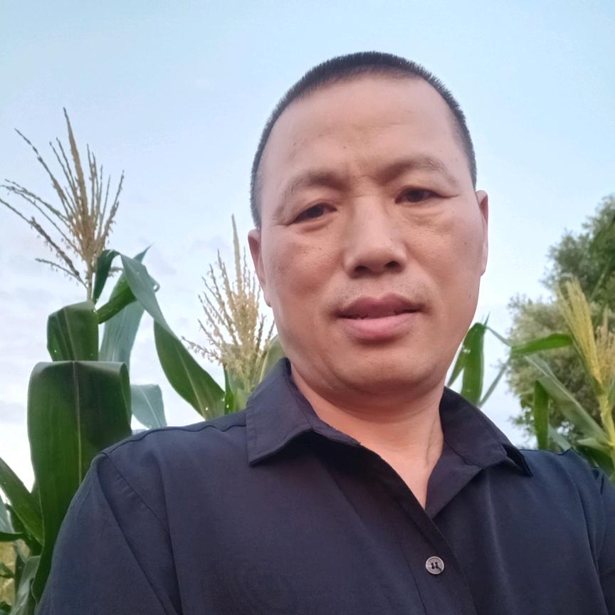 木易哥(星期一到星期六19，10分)首播