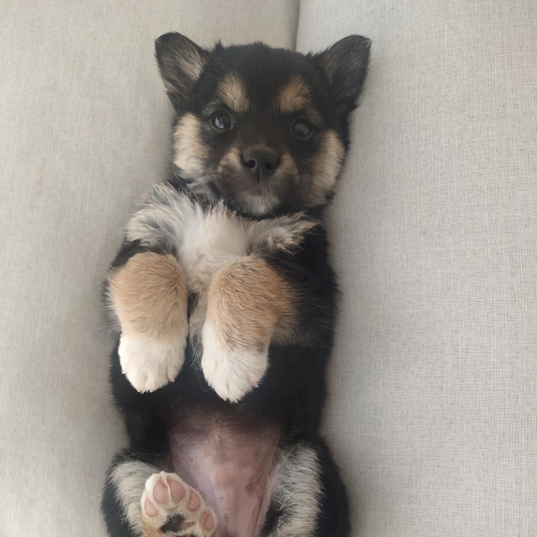 纤云尽卷天如洗