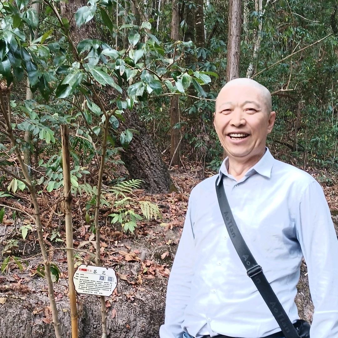 岁寒知松柏，患难见真情