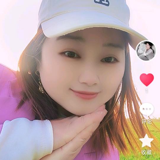 桂