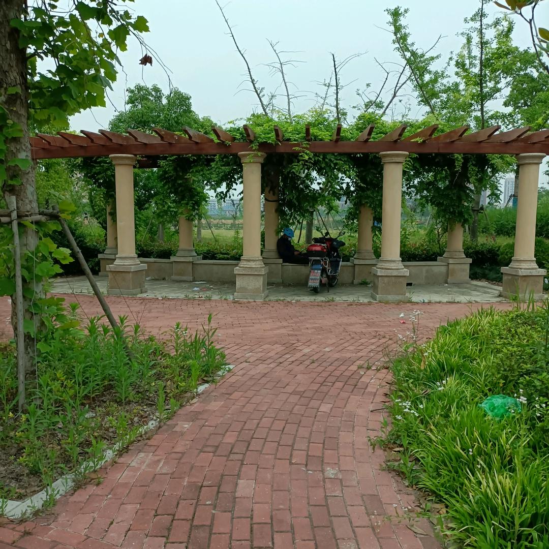 我是老李🌹