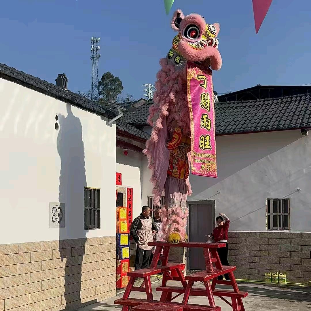 广东佛山鼎鑫龙狮文化传媒