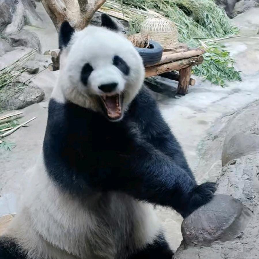 程筱君