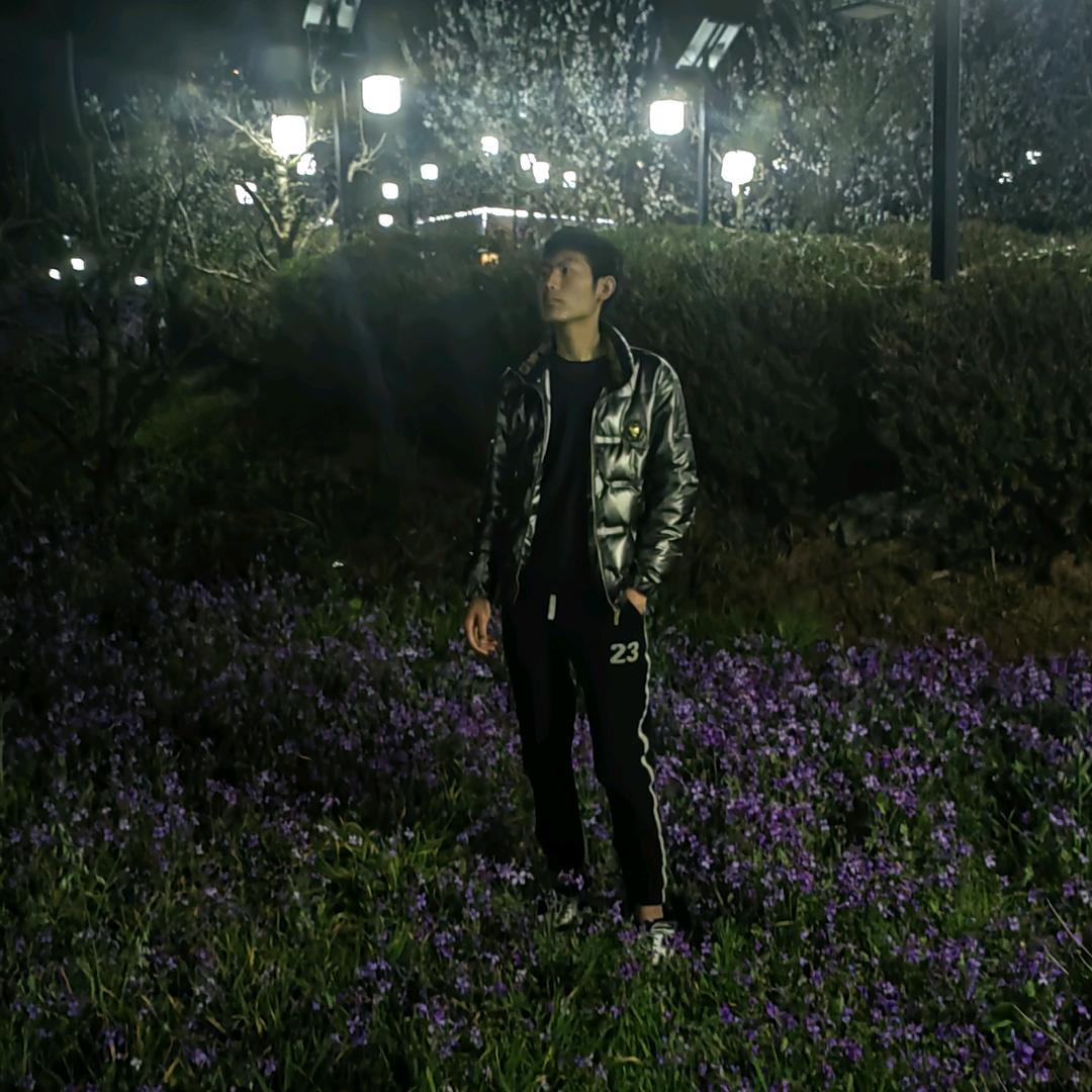 天鸽九乡霸道烤官）