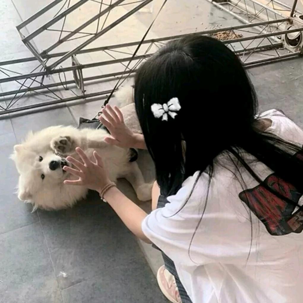 🪐打瞌睡了ᜊﬞﬞᶻᶻᶻ
