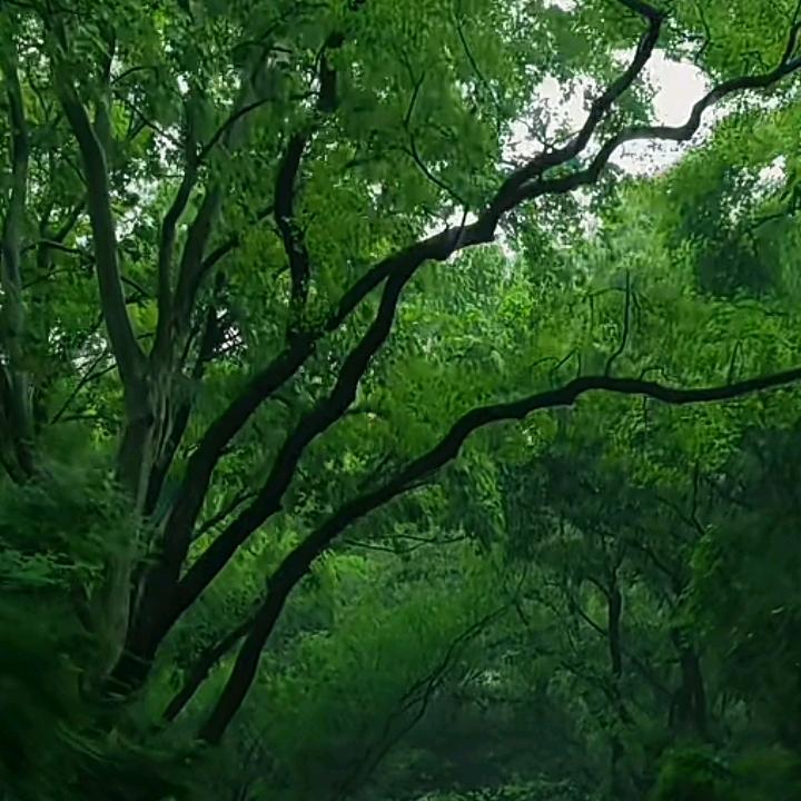 金润～☘️