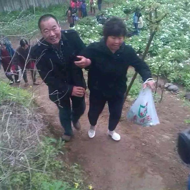 杨二姐