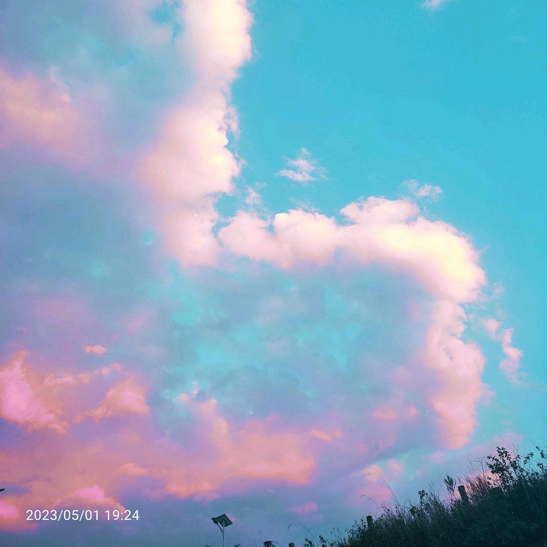 -無妄生歡°