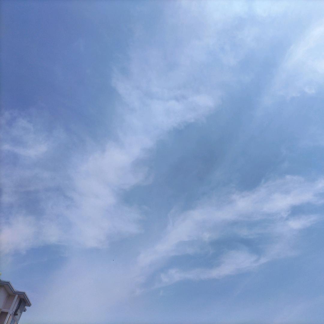 修心修徳正己