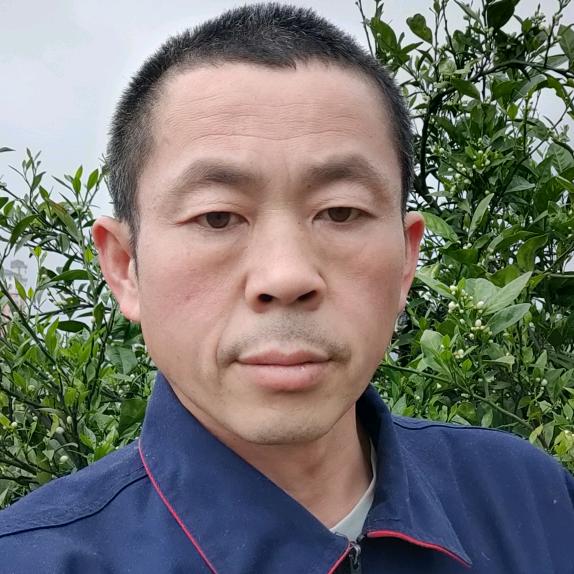 瓜哥自媒体